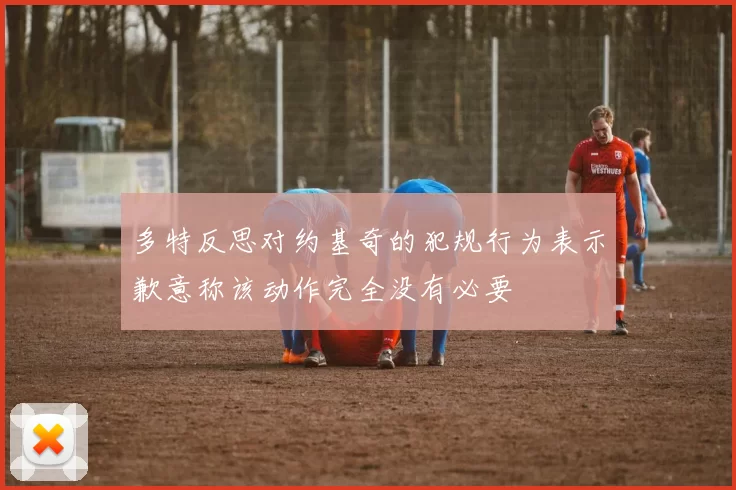 多特反思对约基奇的犯规行为表示歉意称该动作完全没有必要